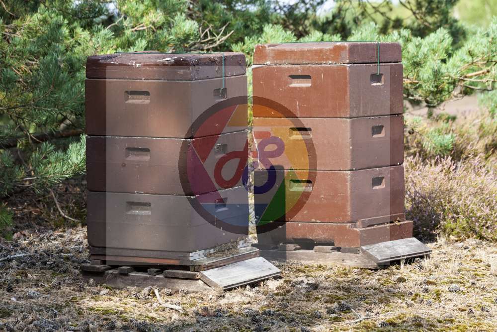 Preview FPS_20190829_0085.jpg
