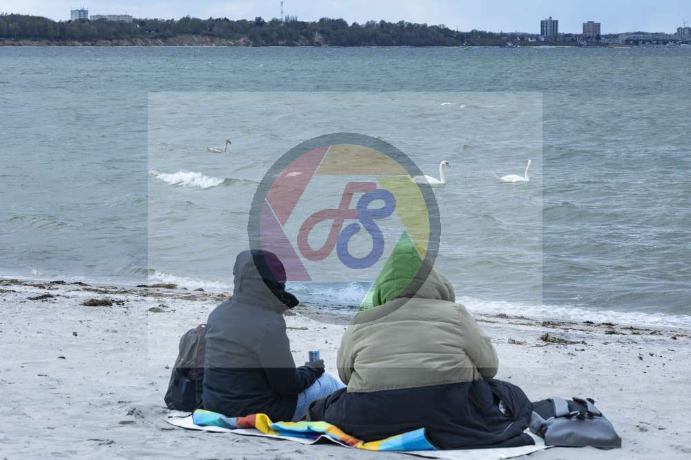 Preview p4p_20240421_0169.jpg